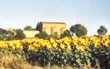 Abbazia di Farneta - Arezzo