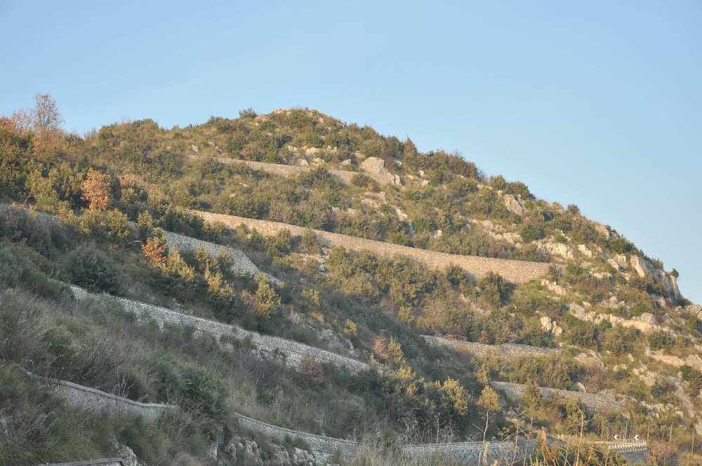 Cassino