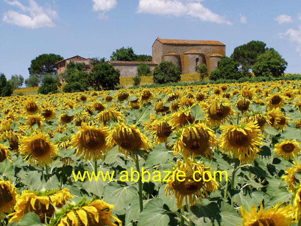 Abbazia di Farneta